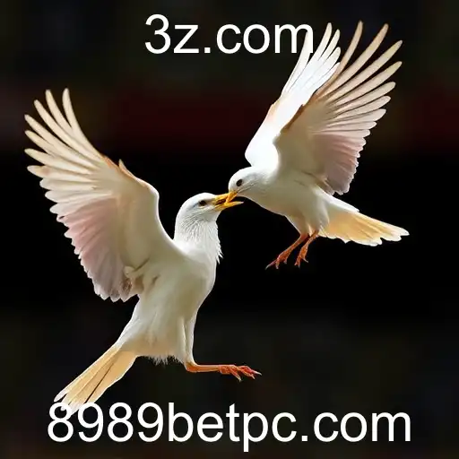 Security and Trust 8989bet - International Licenses and Certifications